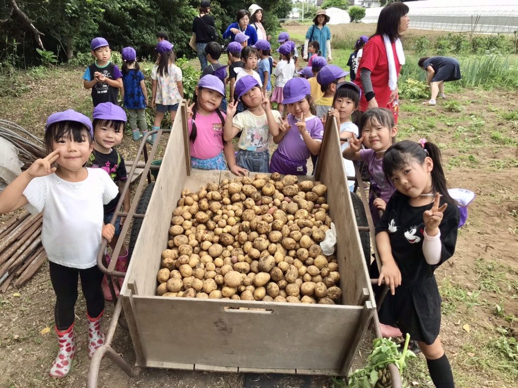 高等科じゃがいも掘り 伊勢崎あすか幼稚舎 群馬県伊勢崎市 認定こども園 幼稚園 通常保育 預かり保育 随時入園見学相談お待ちしています 高等科じゃがいも掘り 伊勢崎あすか幼稚舎 群馬県伊勢崎市 認定こども園 幼稚園 通常保育 預かり保育 随時入園見学相談お待ちしています